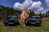 BMW-Team-5ever-02.jpg