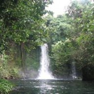 Elperito